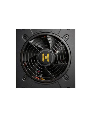 FSP Hydro GT PRO 1000W unidad de fuente de alimentación 24-pin ATX ATX Negro