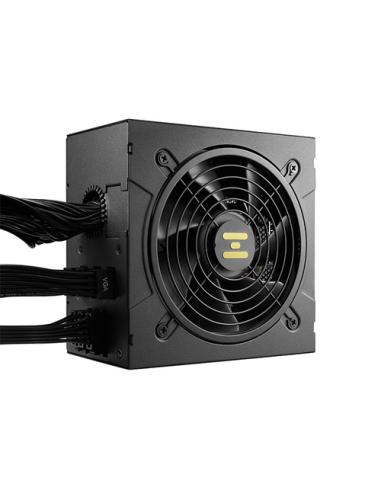 FSP Hydro GT PRO 1000W unidad de fuente de alimentación 24-pin ATX ATX Negro