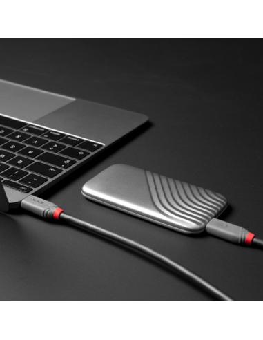 Lindy 36958 cable USB USB4 Gen 3x2 2 m USB C 40 Gbit/s 240 W Negro