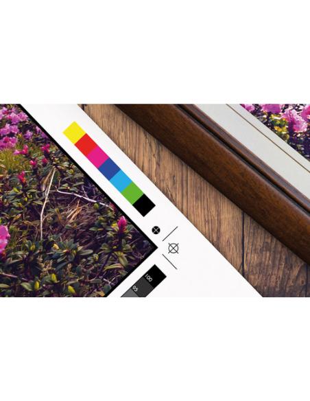 Epson SureColor SC-P9500