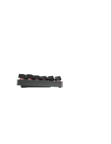 CHERRY MX 8.2 TKL Wireless RGB teclado Juego RF Wireless + Bluetooth QWERTZ Alemán Negro