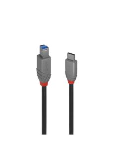 Lindy 36667 cable USB USB 3.2 Gen 1 (3.1 Gen 1) 2 m USB C USB B Negro