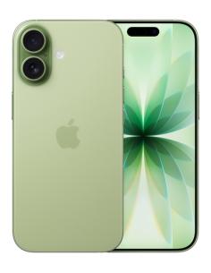 Apple iPhone 17 16 cm (6.3") SIM doble iOS 26 5G USB Tipo C 256 GB Salvia